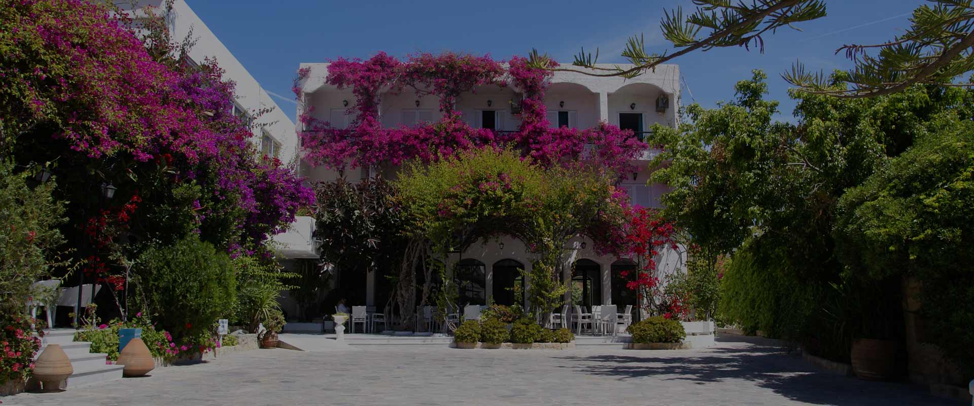 Skala Hotel Patmos, Views from the Hotel inside and out